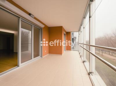 Appartement - 179 m² - 7 pièces