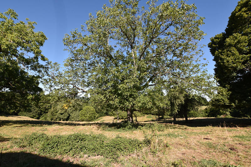 Maison - 136 m² - 7 pièces