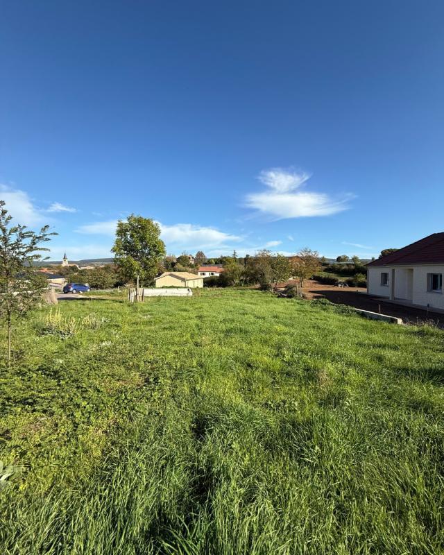 Terrain constructible - 1 288 m²