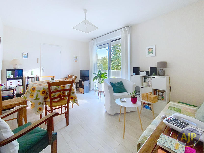 Appartement - 53 m² - 2 pièces