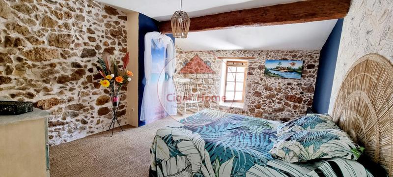 Maison ancienne - 305 m² - 9 pièces