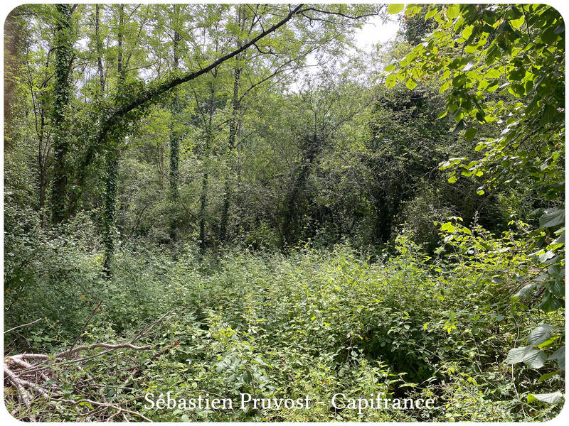 Terrain constructible - 2 600 m²