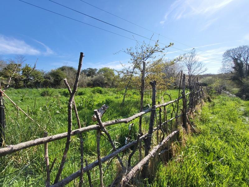 Hangar - 520 m² - 1 pièce
