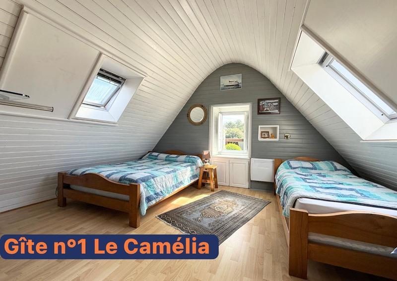 Maison - 295 m² - 15 pièces