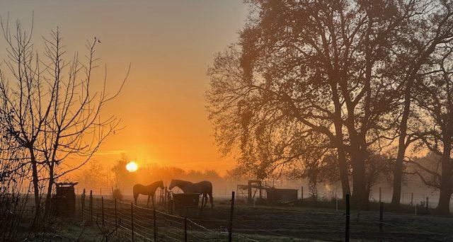 Maison ancienne - 140 m² - 5 pièces