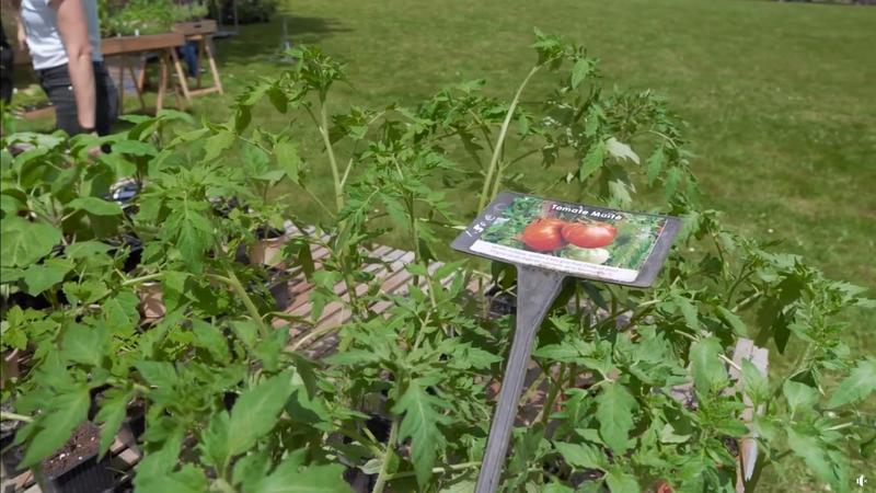 Marché hebdomadaire