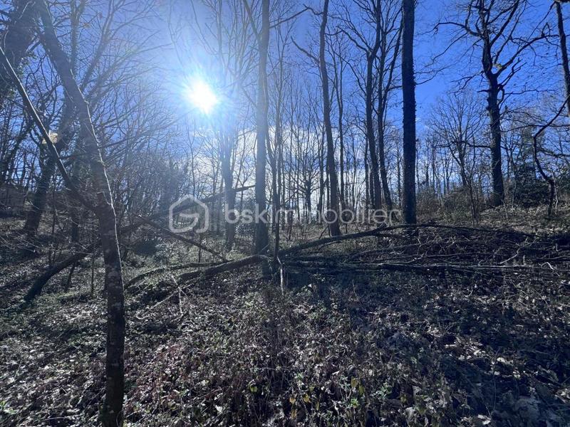 Terrain de golf - 3 600 m²