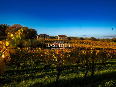 Maison ancienne - 319 m² - 10 pièces