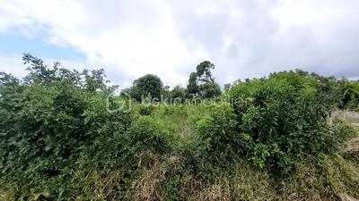 Terrain constructible - 1 850 m²