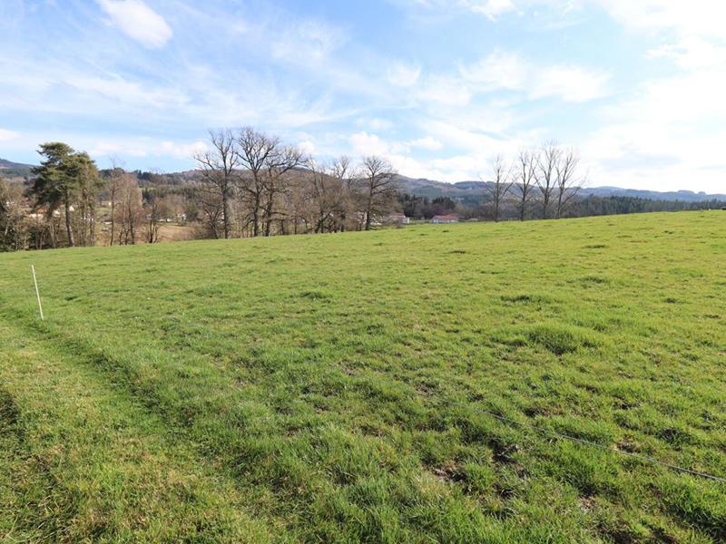 Maison - 250 m² - 6 pièces