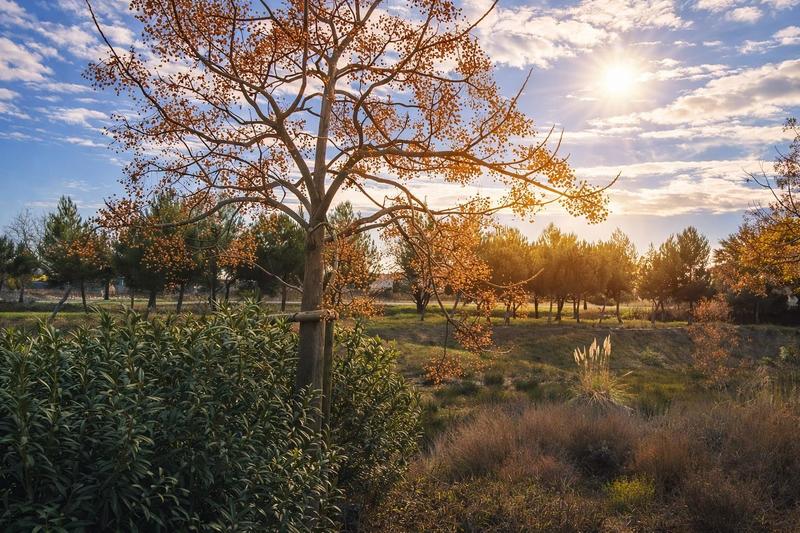 Villa - 100 m² - 4 pièces