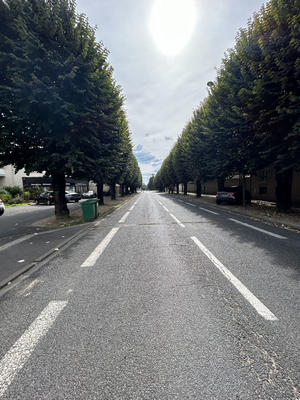 Appartement - 76 m² - 4 pièces