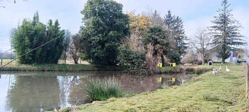 Hangar - 325 m² - 2 pièces