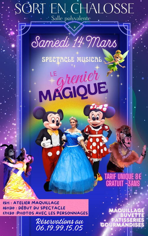 Spectacle Disney