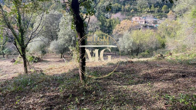 Terrain constructible - 4 905 m²
