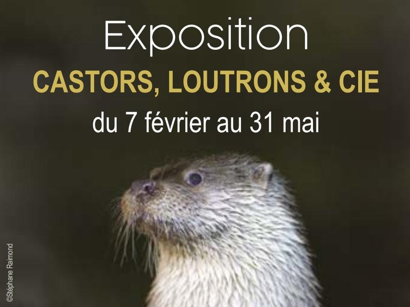 Musée l'Abbaye - Quizz - Qui connaît mieux la rivière ?