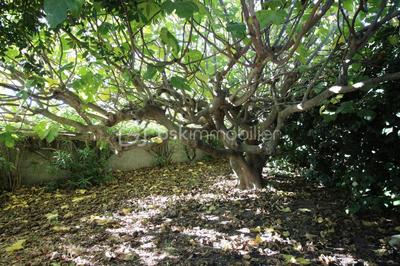 Maison traditionnelle - 104 m² - 4 pièces