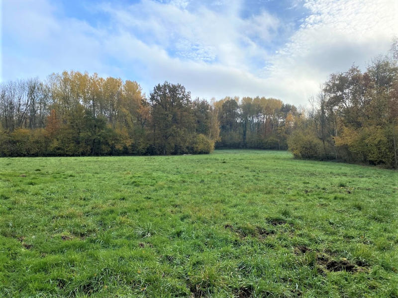 Terrain - 235 000 m²