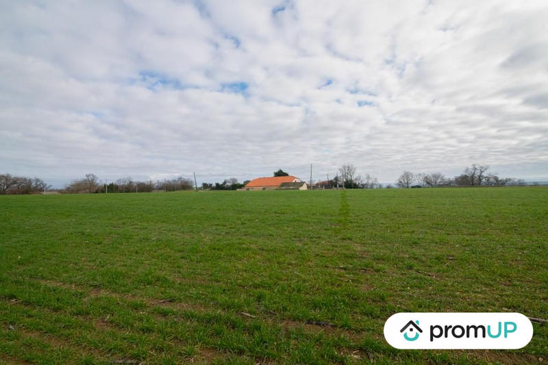 Terrain agricole - 6 000 m²