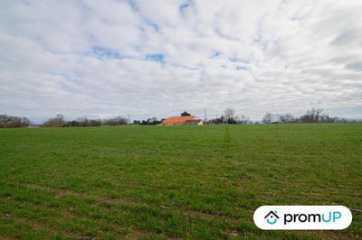 Terrain agricole - 6 000 m²