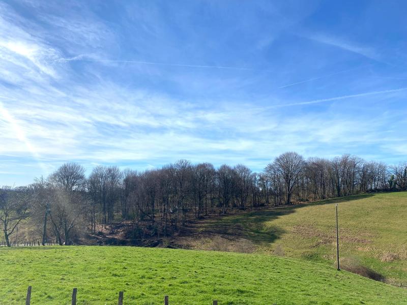 Maison - 273 m² - 8 pièces