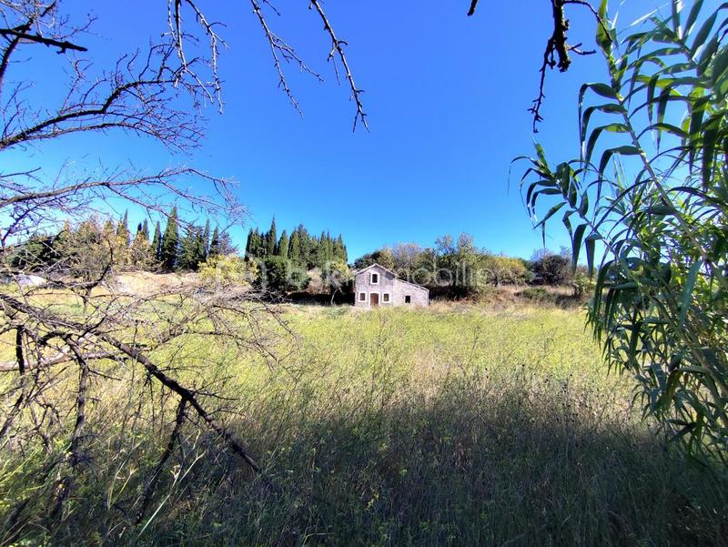 Terrain agricole - 4 201 m²