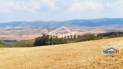 Terrain - 1 018 m²