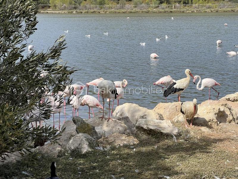 Maison en pierre - 158 m² - 7 pièces