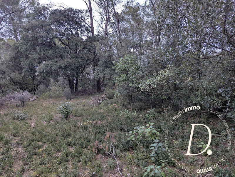 Terrain agricole - 2 000 m²