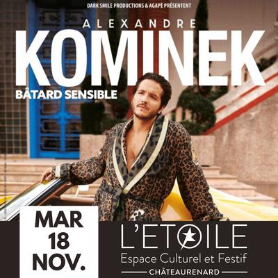 Bâtard Sensible - Alexandre Kominek