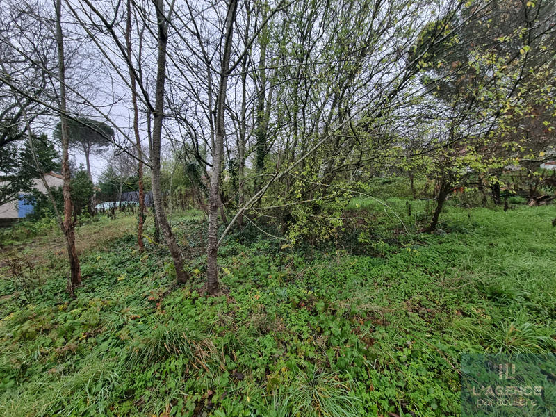 Terrain - 450 m²