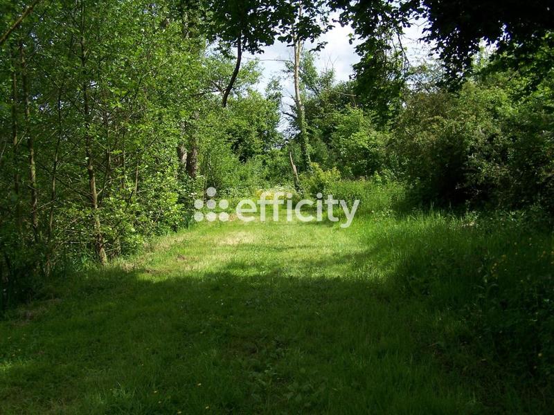 Terrain - 73 790 m²