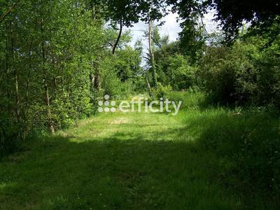Terrain - 73 790 m²