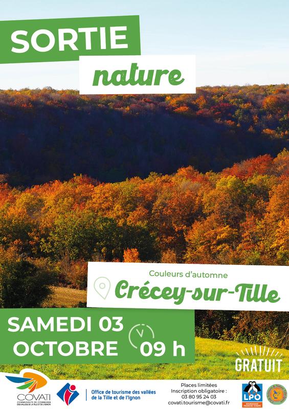Sortie Nature : Couleurs d'automne