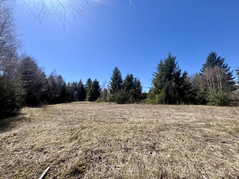 Terrain - 41 056 m²