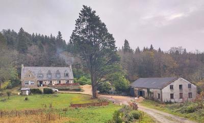 Propriété - 330 m² - 12 pièces