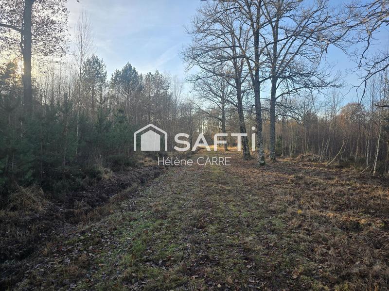 Maison - 237 m² - 11 pièces