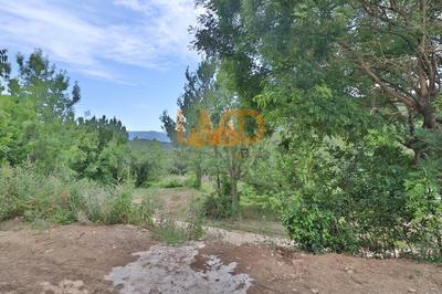 Terrain - 260 m²