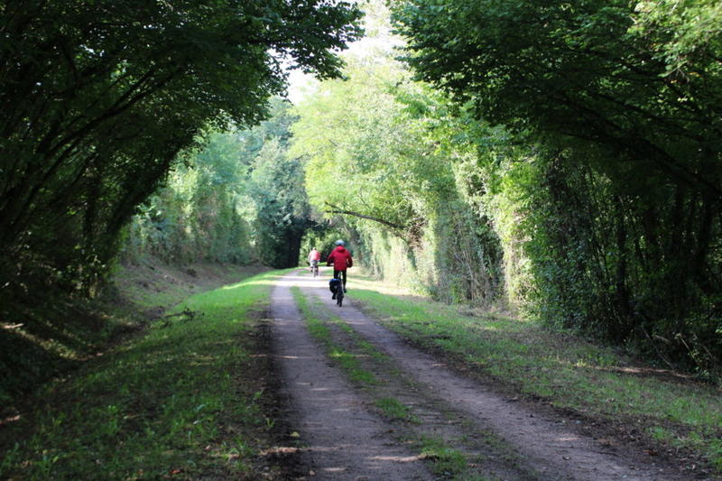 Terrain constructible - 1 124 m²