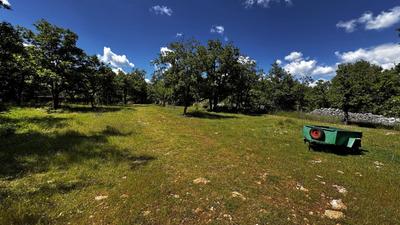 Terrain - 80 524 m²