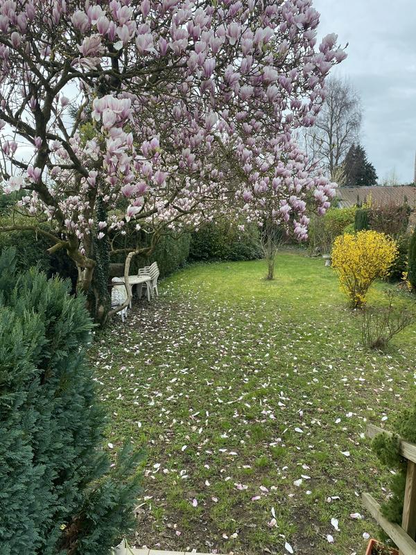 Maison traditionnelle - 85 m² - 4 pièces