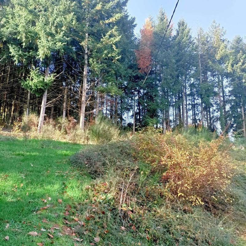 Maison de campagne - 116 m² - 7 pièces