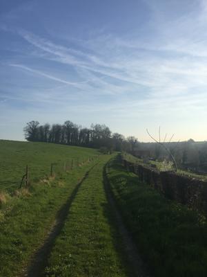 Randonnée pédestre