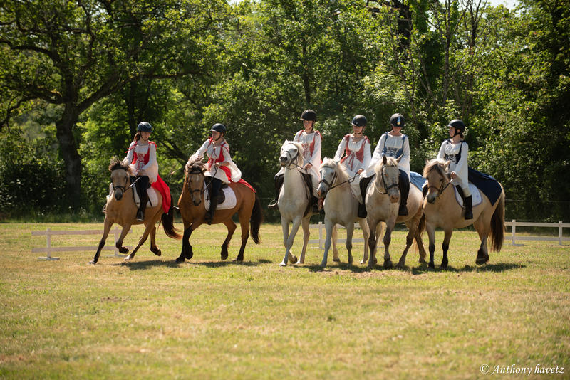 Festival les imPrO'bables