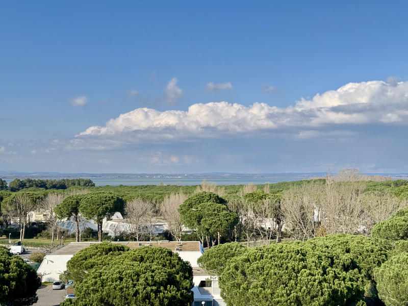 Appartement - 44 m² - 2 pièces