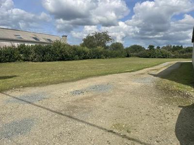 Local d'activité / Entrepôt - 600 m²