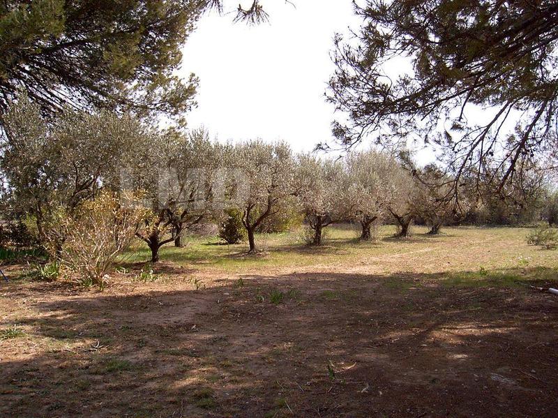 Villa - 224 m² - 8 pièces