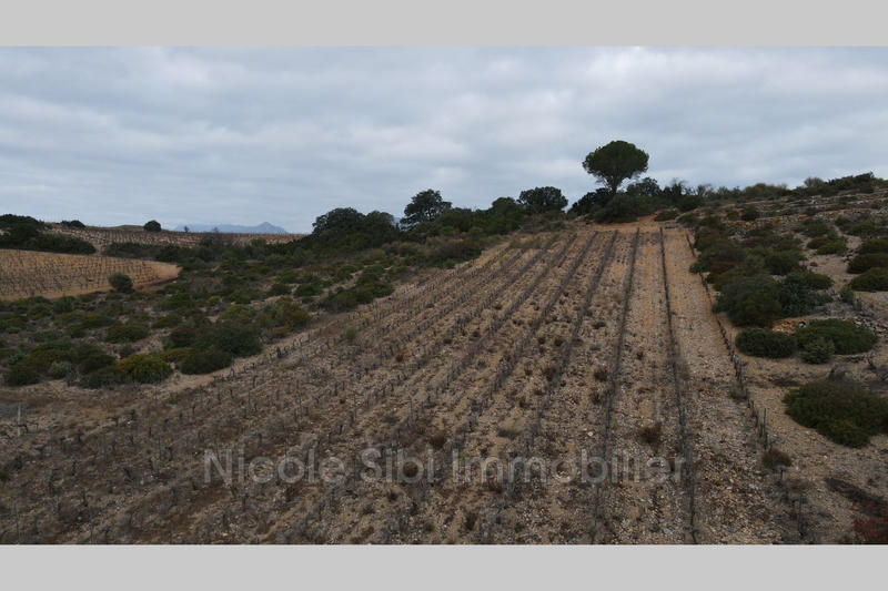 Terrain agricole - 2 880 m²