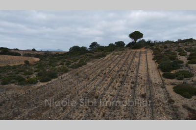 Terrain agricole - 2 880 m²