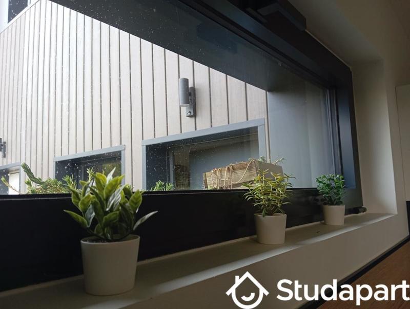 Chambre - 12 m² - 1 pièce